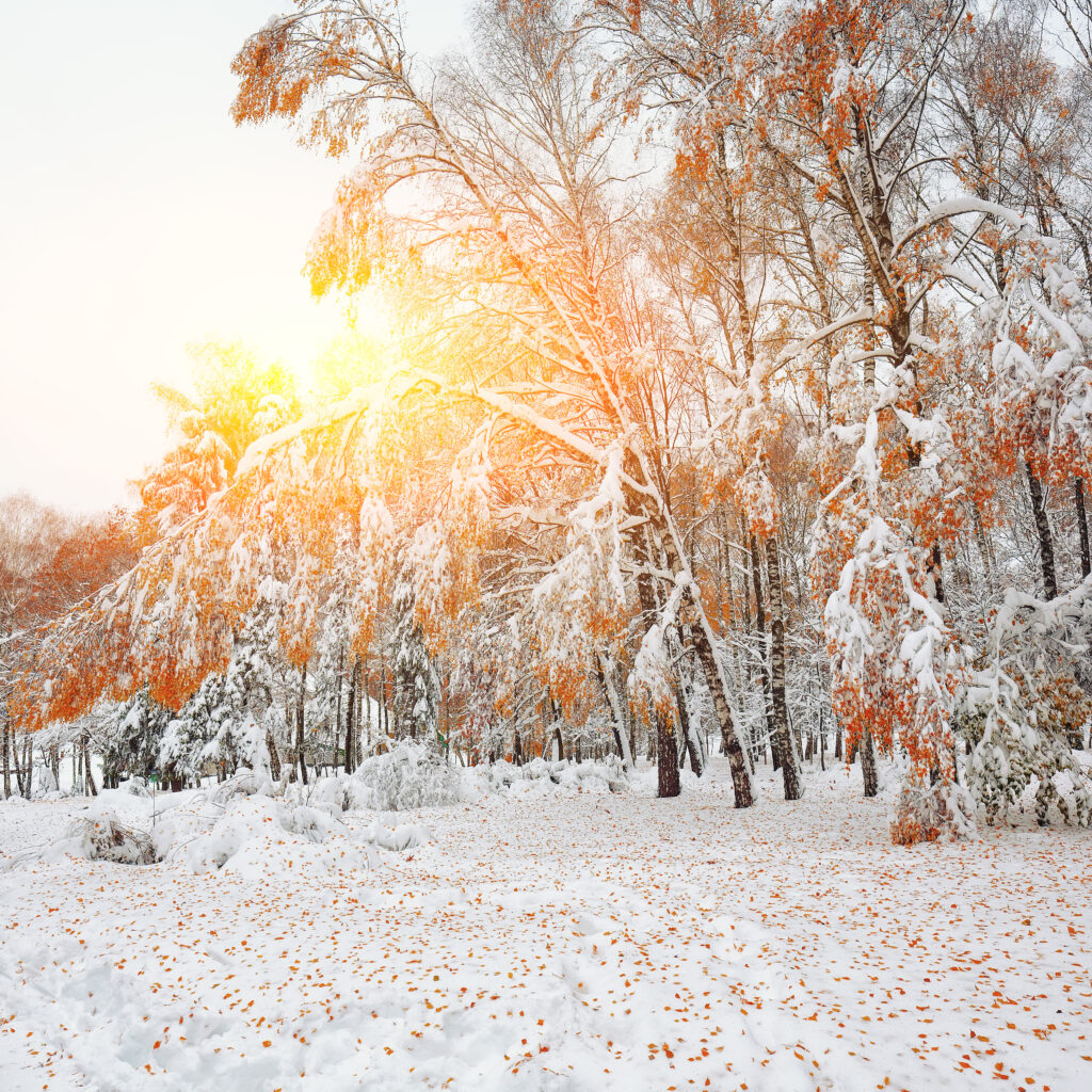 Kyushu Region Weather