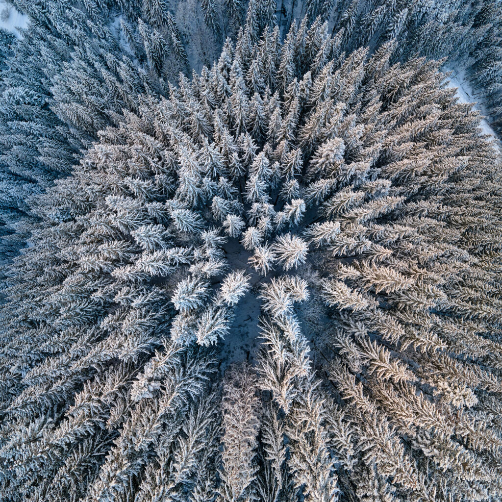 Tohoku Region Weather